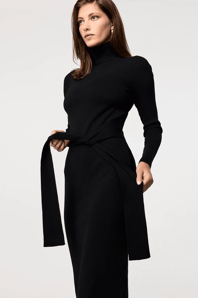 Logan Long Sleeve Tie-Front Turtleneck Dress